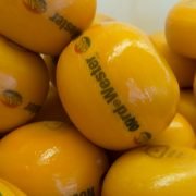 markus-kaashandel-19