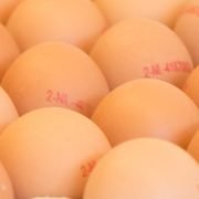 markus-kaashandel-42